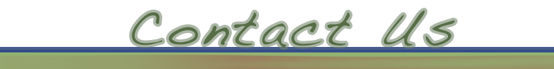 Contact Us - Dentistry Treatment Mexico - Medical Travel