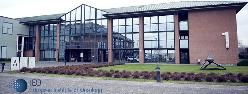 Breast Cancer Procedures, Istituto Europeo di Oncologia, Milan, Italy