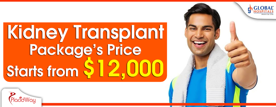 Package Price of Kidney Transplant in India Package Price of Kidney Transplant in India