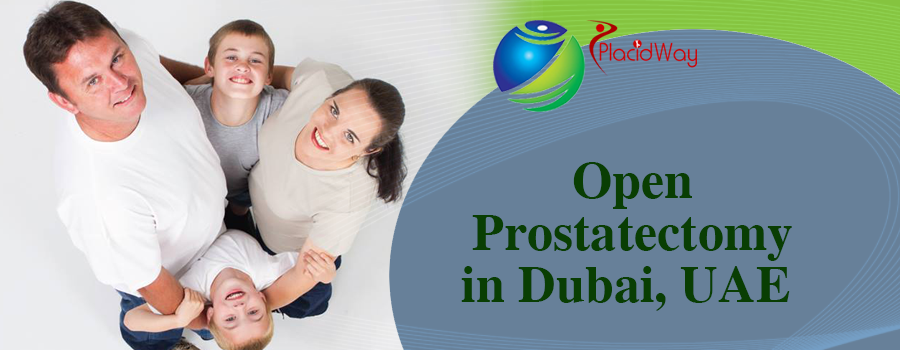 Open Prostatectomy 