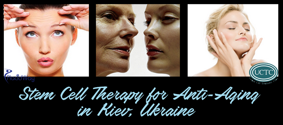 Stem Cell Therapy for Anti Aging Stem Cell Therapy for Anti Aging