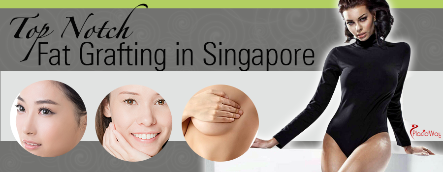 Fat Grafting in Singapore