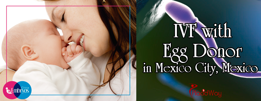IVF with Egg Donor Treatment Package in Mexico City Mexico