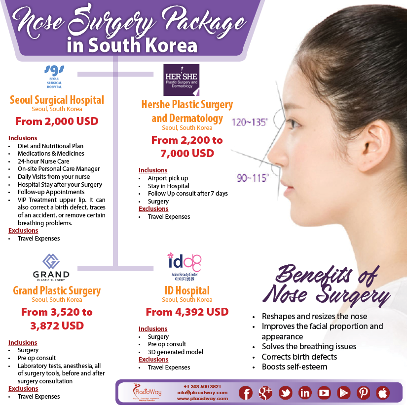 Infographics Nose Surgery Packages In South Korea