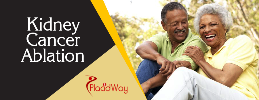 Kidney Cancer Ablation Abroad Kidney Cancer Ablation Abroad