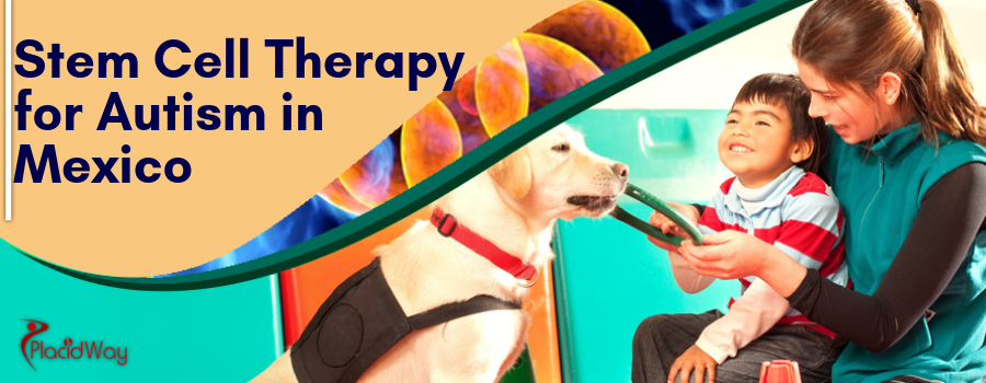 best stem cell treatment center in usa best stem cell treatment center in usa