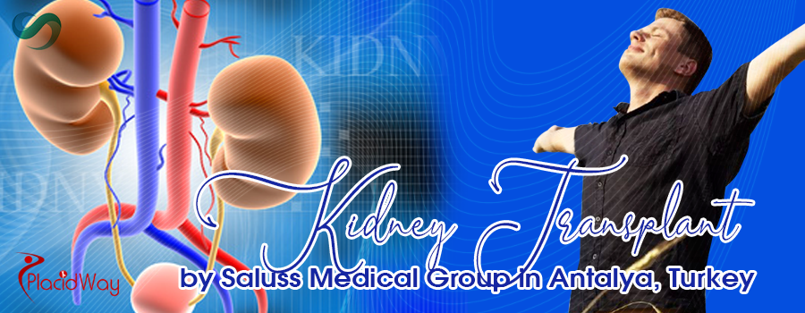 Kidney Transplant by Saluss Medical Group in Antalya, Turkey