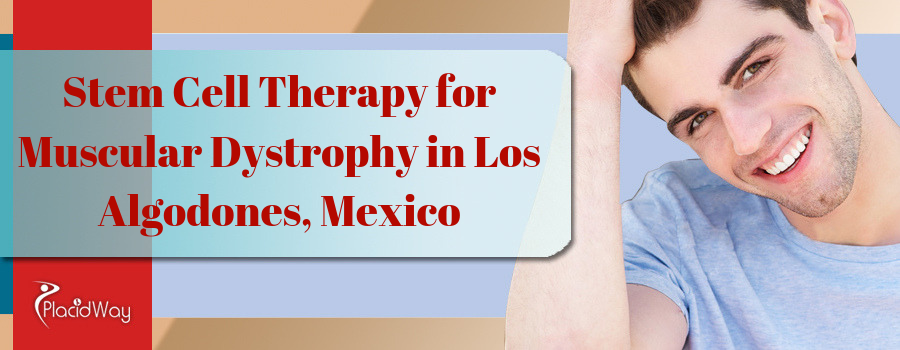 Effective Package for Stem Cell Therapy for Muscular Dystrophy in Los Algodones, Mexico