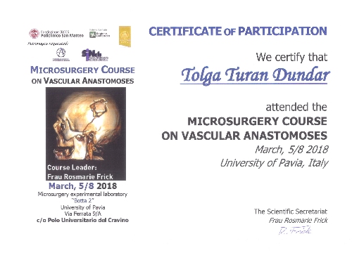 Neurosurgery in Turkey | Assoc. Prof. Dr. Tolga Turan DÜNDAR Certificate