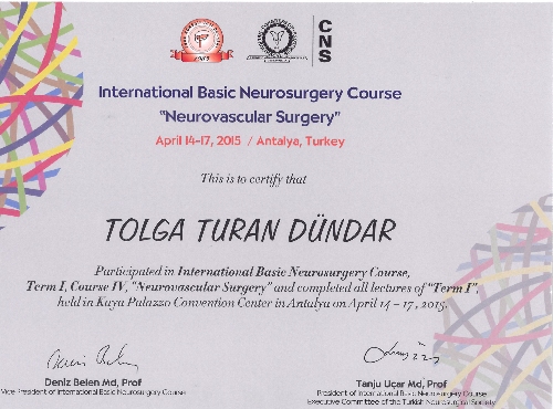 Neurosurgery in Turkey | Assoc. Prof. Dr. Tolga Turan DÜNDAR Certificate