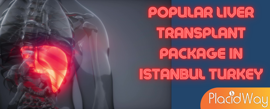 Liver Transplant in Istanbul, Turkey