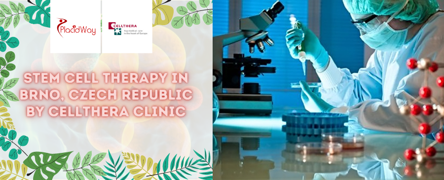 Cellthera Clinic - Stem Cell Therapy in Brno, Czech Republic