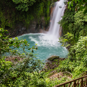 Selva tropical verde de Costa Rica