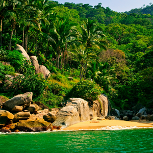 Playa México Puerto Vallarta