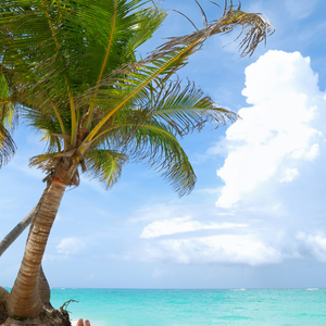 Turismo Dental República Dominicana Dominican Republic Beach