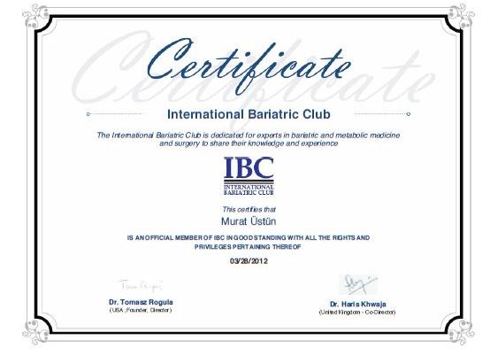 Certificate Received by ICA in Istanbul, Turkey