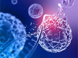 Chicago Stem Cell Therapy & Regenerative Medicine Institute