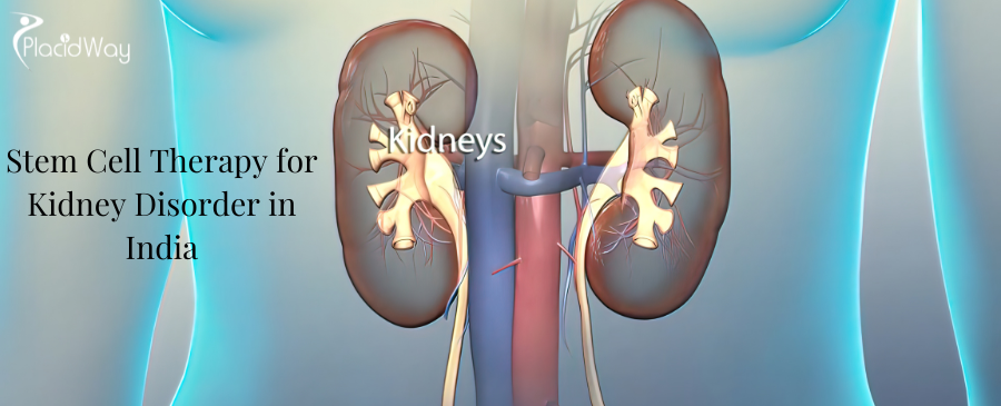 Stem Cell Therapy for Kidney Disorder in India