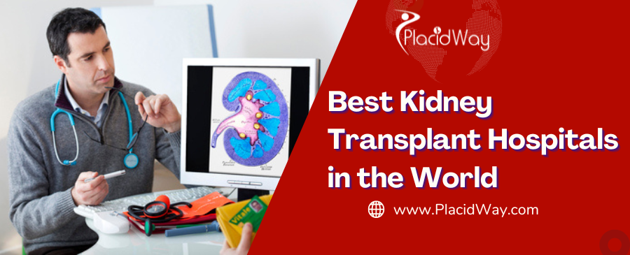Best Kidney Transplant Hospitals in the World