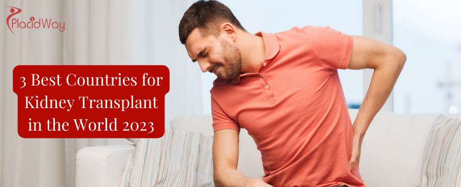 3 Best Countries for Kidney Transplant in the World 2023