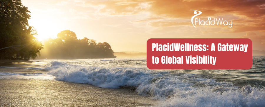 PlacidWellness A Gateway to Global Visibility