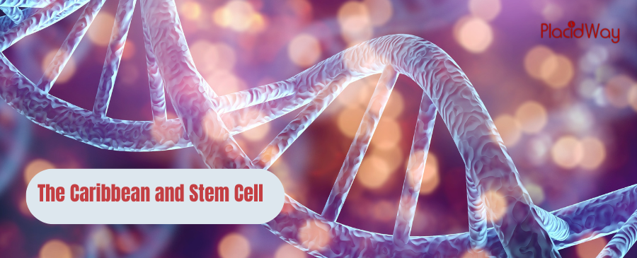 The Caribbean and Stem Cell 