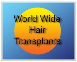 World Wide Hair Transplants