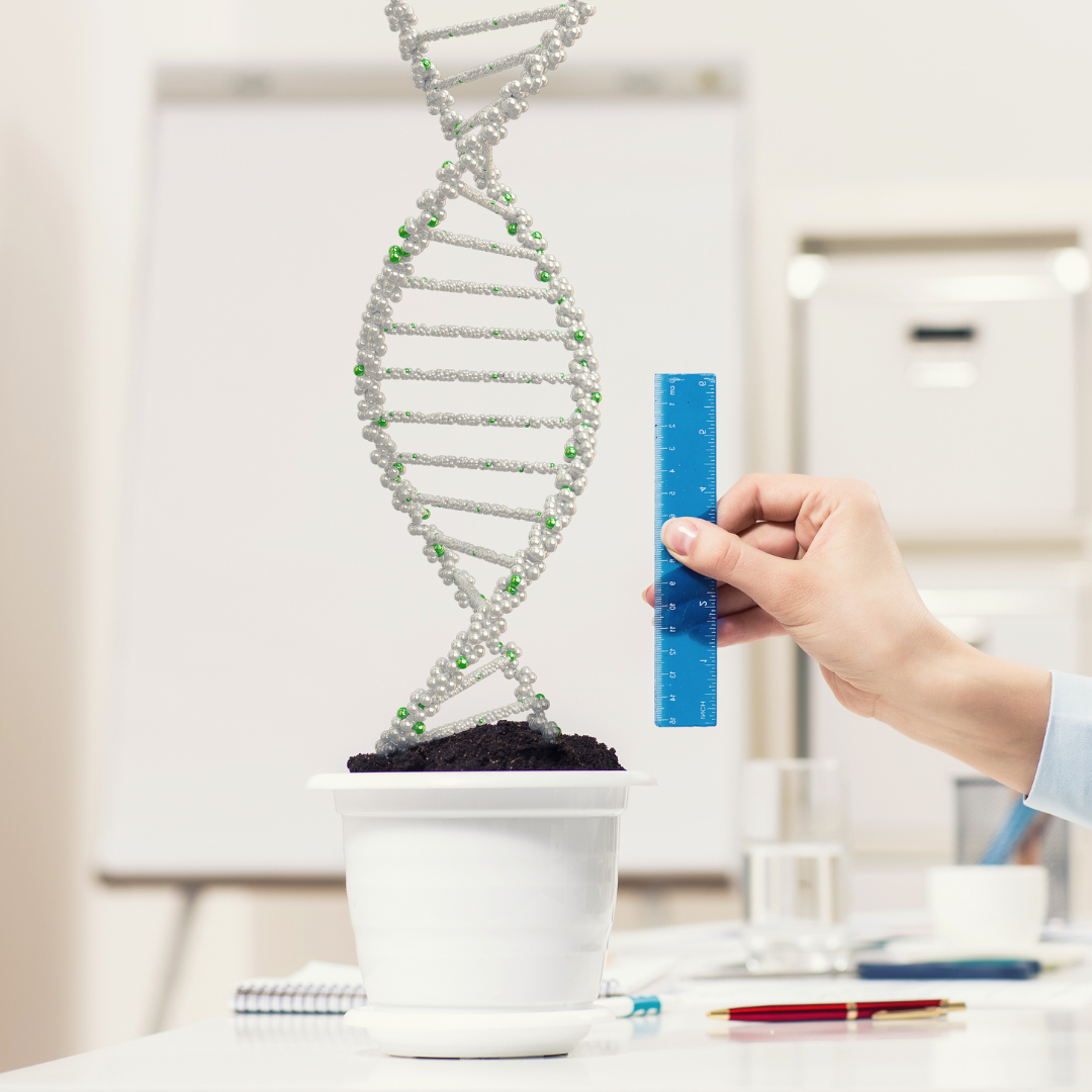 The Ultimate Guide to Choosing the Right Stem Cell Clinic