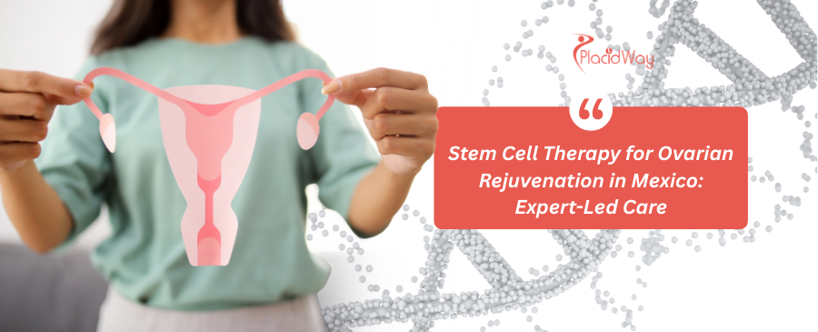 Stem Cell Therapy for Ovarian Rejuvenation in Mexico