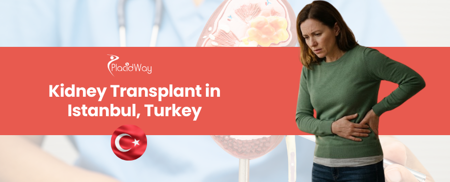 Kidney Transplantation in Istanbul, Turkey