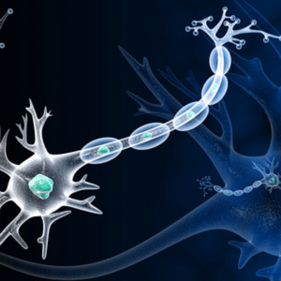 Stem Cell Therapy for Alzheimers Disease in Tijuana Mexico