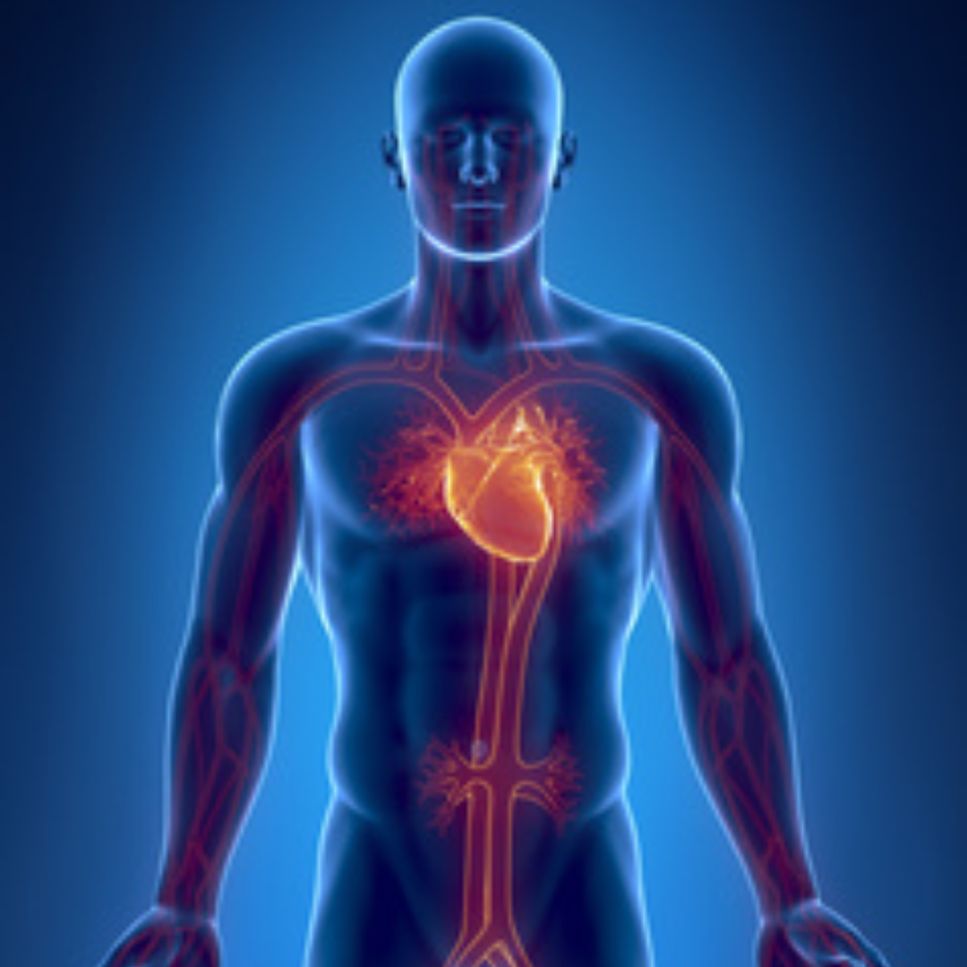 Coronary Angioplasty in Seoul South Korea Coronary Angioplasty in Seoul South Korea