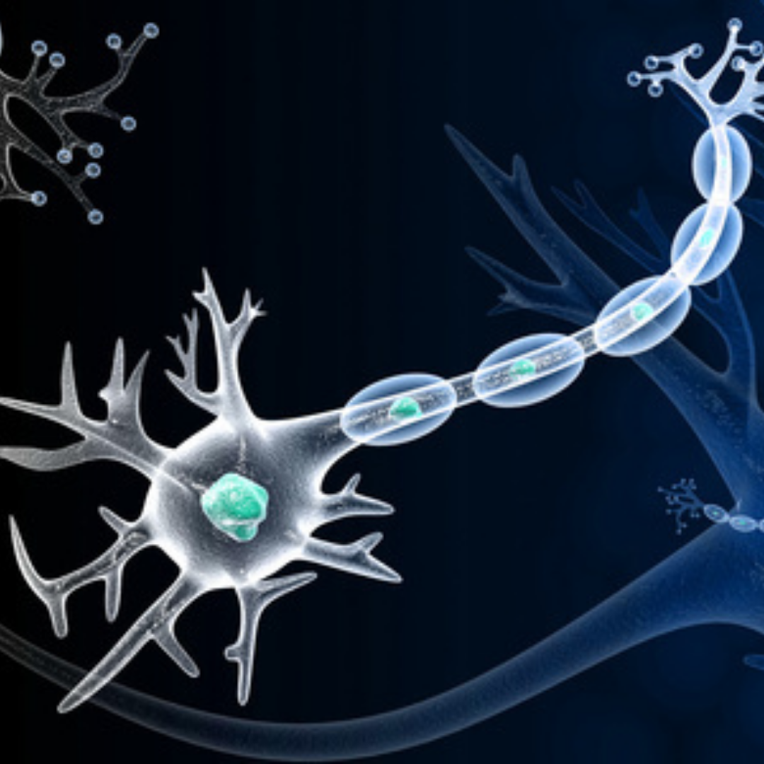 Stem Cell for Ataxia in Vienna Austria