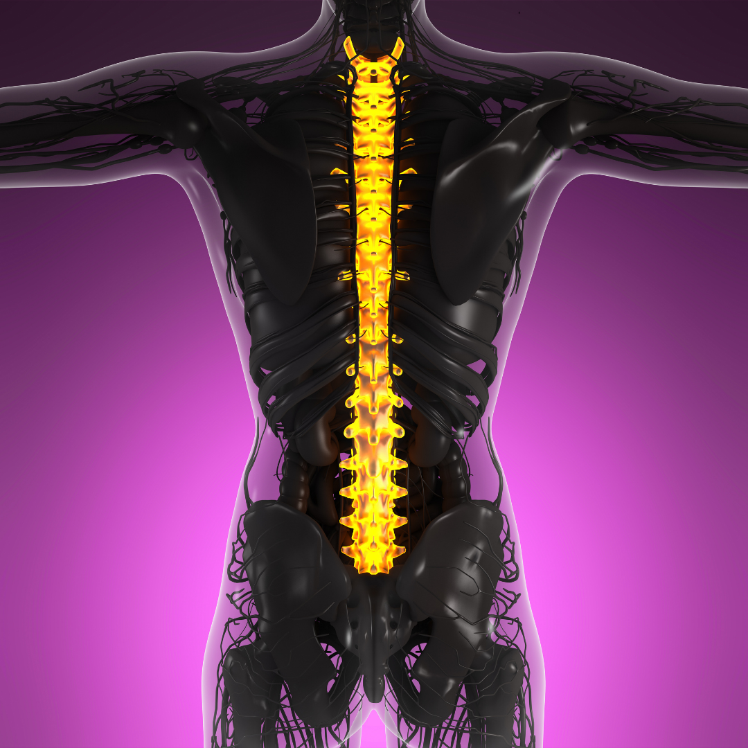 Best Package for Spinal Decompression in Pune, India