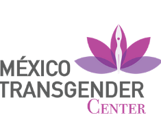The Ultimate Guide for the Ideal Male to Female Surgery in Mexico